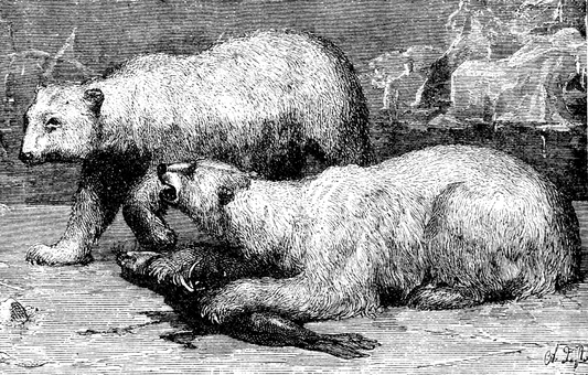 Unveiling the Mighty Guardians: The Importance of Bears in Norse Mythology